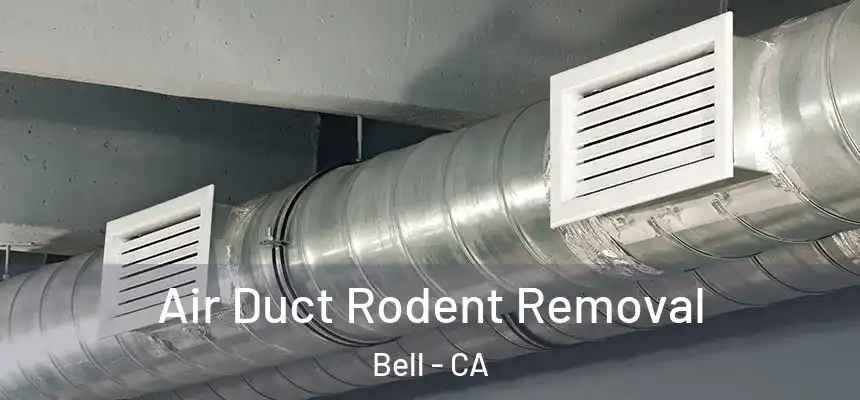 Air Duct Rodent Removal Bell - CA