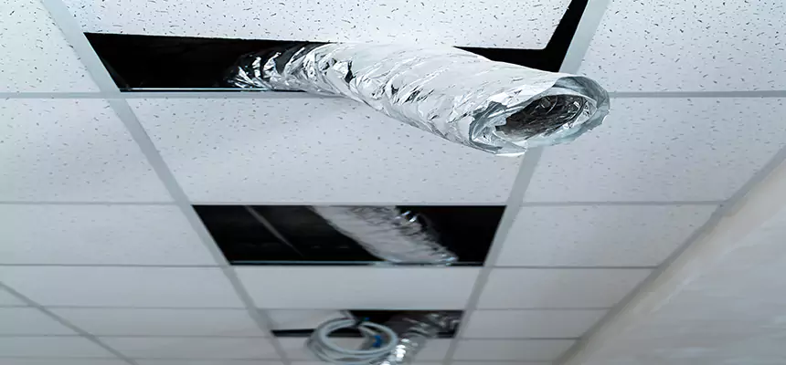 Our Air Duct Pet Hair Removal Services in Bell, CA