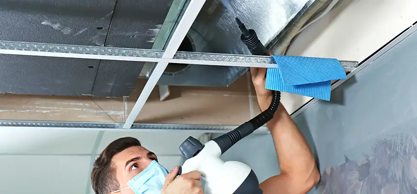 Our Air Duct Rodent Removal Services in Bell, CA