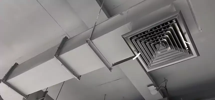 Our Pest Removal From Ducts Services in Bell, CA