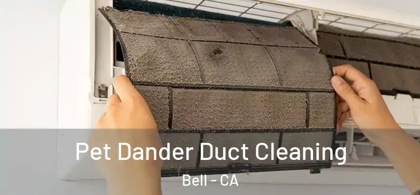 Pet Dander Duct Cleaning Bell - CA