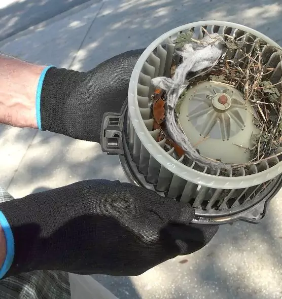 About Air Duct Rat Removal in Bell, CA