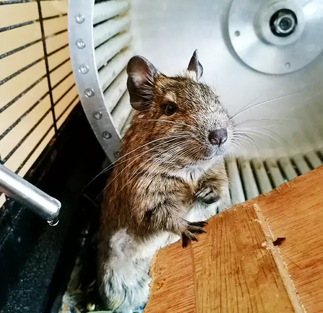 Why Homeowners & Businesses Trust Us Bell, CA