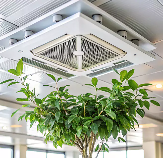 Why Homeowners & Businesses Trust Us in Bell, CA?