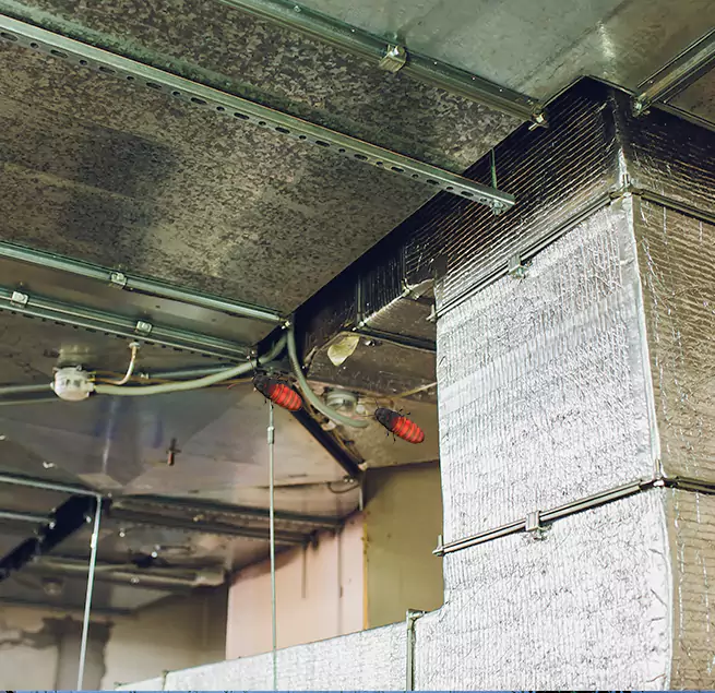 Why Homeowners & Businesses Trust Us Bell, CA?