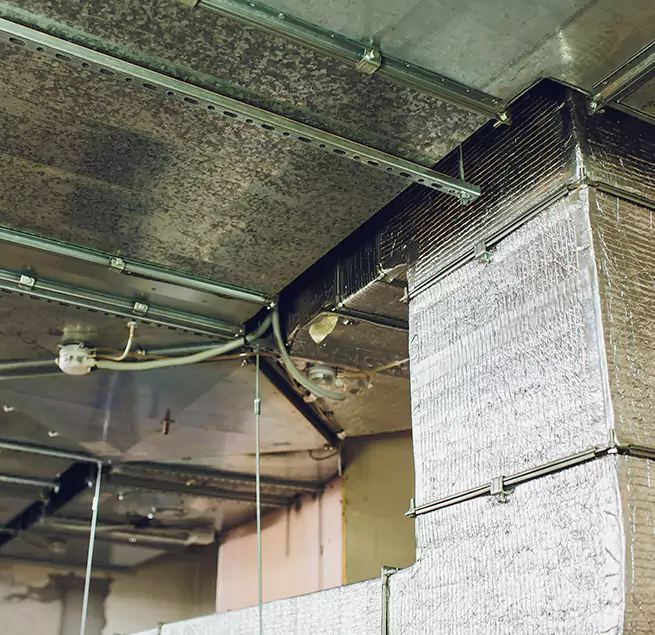 Why Homeowners & Businesses Trust Us in Bell, CA?